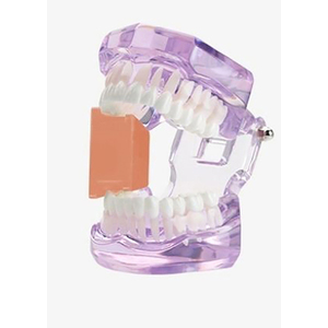 DENTAL MOUTH PROPS SILICONE ORANGE  1