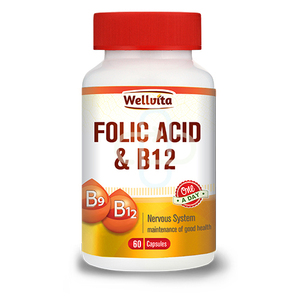 WELLVITA FOLIC ACID & B12 CAPSULES 60