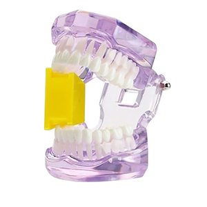 DENTAL MOUTH PROPS SILICONE YELLOW