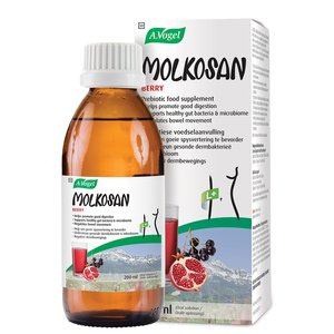 A VOGEL MOLKOSAN BERRY 200ML
