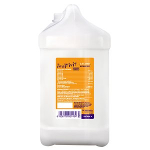 MULTIVIT SYRUP 2500ML BRUNEL