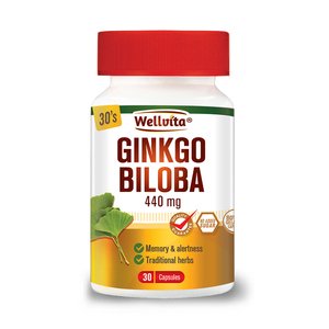 WELLVITA GINKGO BILOBA 440MG 30 CAPS