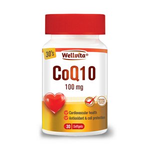 WELLVITA CO ENZYME Q10 100MG 30 SOFTGELS