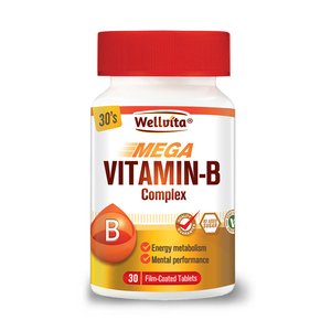 WELLVITA VITAMIN B COMPLEX 30 TABS